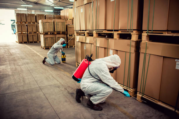 Best Flea Control Services  in New Chicago, IN