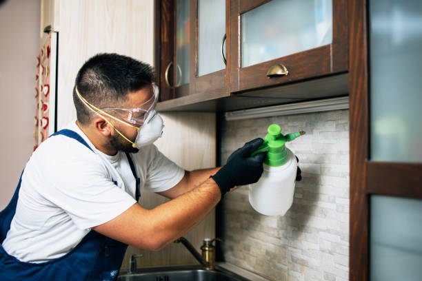 Best Best Pest Control Companies  in New Chicago, IN