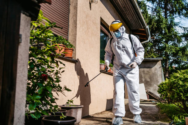 Best Rat Extermination Near Me  in New Chicago, IN