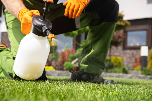 Best Mosquito Control Services  in New Chicago, IN