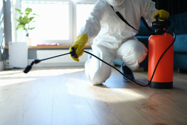 Flea Control Services in New Chicago, IN