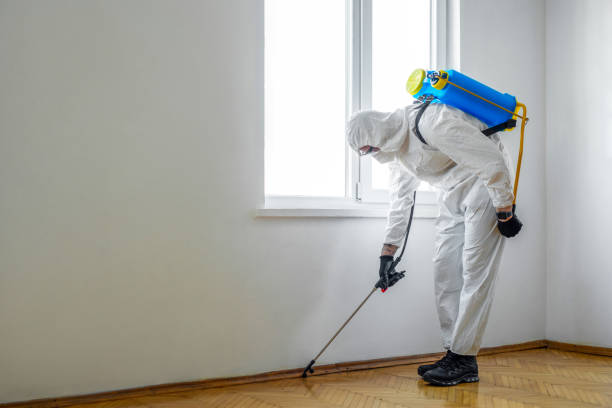 Best Exterminator Services  in New Chicago, IN