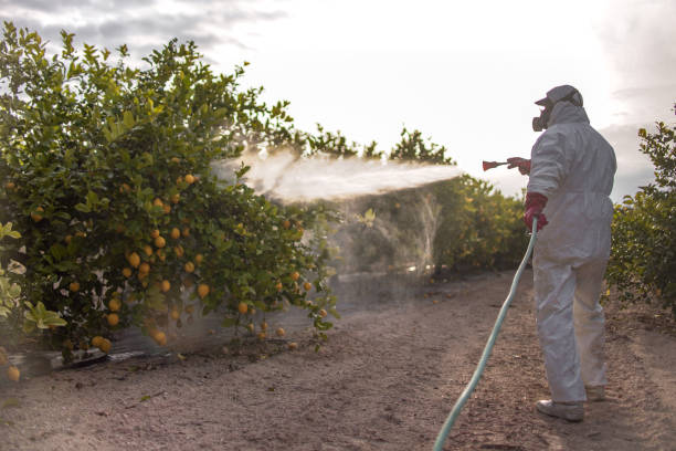 Best Residential Pest Control  in New Chicago, IN