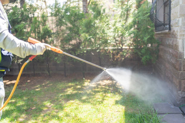 Best Pest Control Near Me  in New Chicago, IN