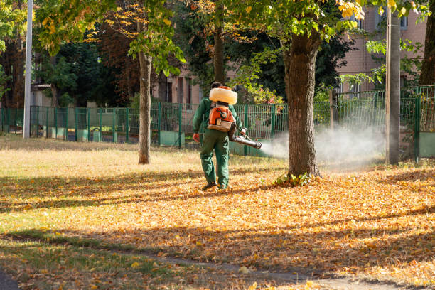 Best Pest Prevention Services  in New Chicago, IN