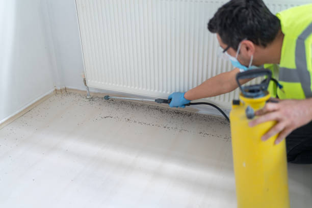 Best Pest Prevention Services  in New Chicago, IN