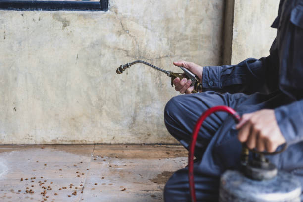 Professional Pest Control in New Chicago, IN